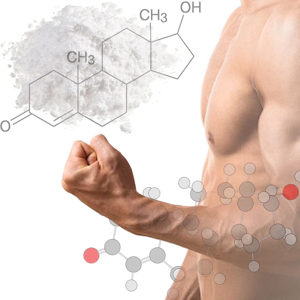 Support Natural Testosterone Booster Contains DHEA