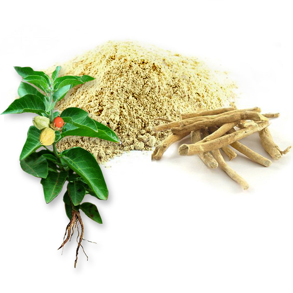 Support Natural Testosterone Booster Contains Ashwagandha
