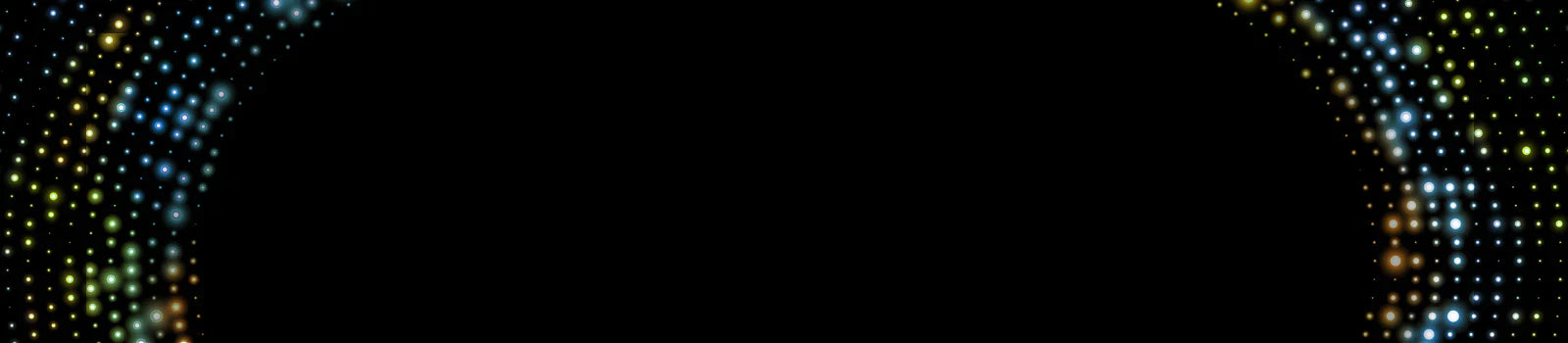 The New Year Sale 2025