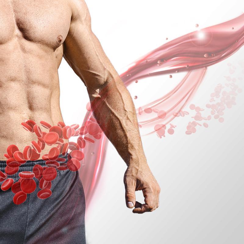 Optimus Red Enhances Pelvic Circulation