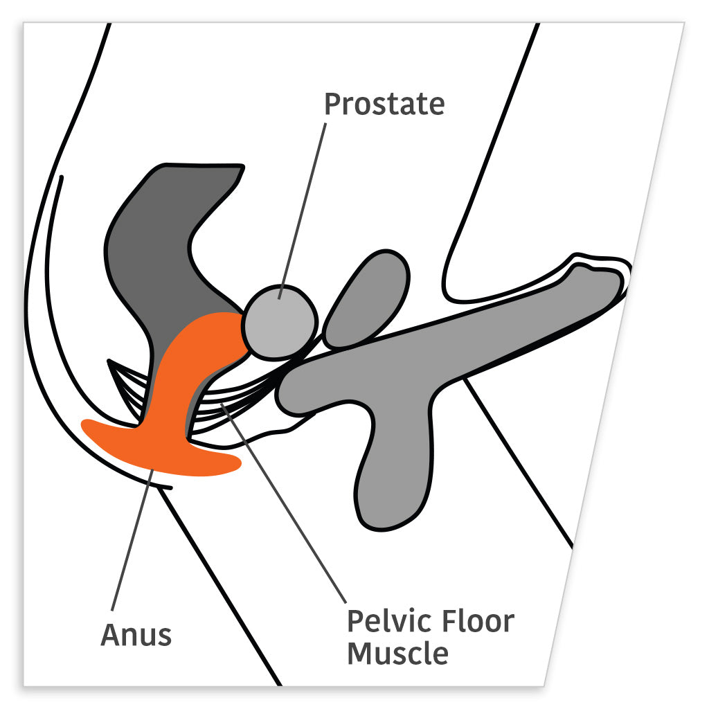 Fun Factory Bootie Butt Plug Small / Black, Small / Violet, Medium / Black, Large / Black Illustration Demo