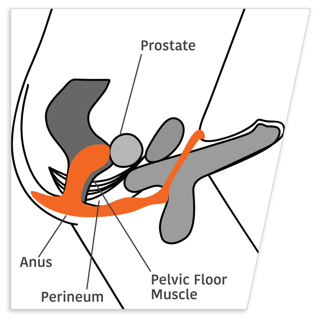 Fun Factory Bootie Penis Ring Illustration Demo