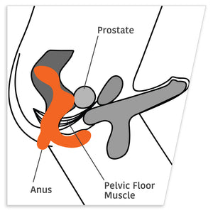 Fun Factory Duke Prostate Vibrator Illustration Demo