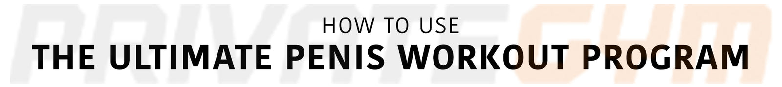 How to Use the Ultimate Penis Workout Program Desktop