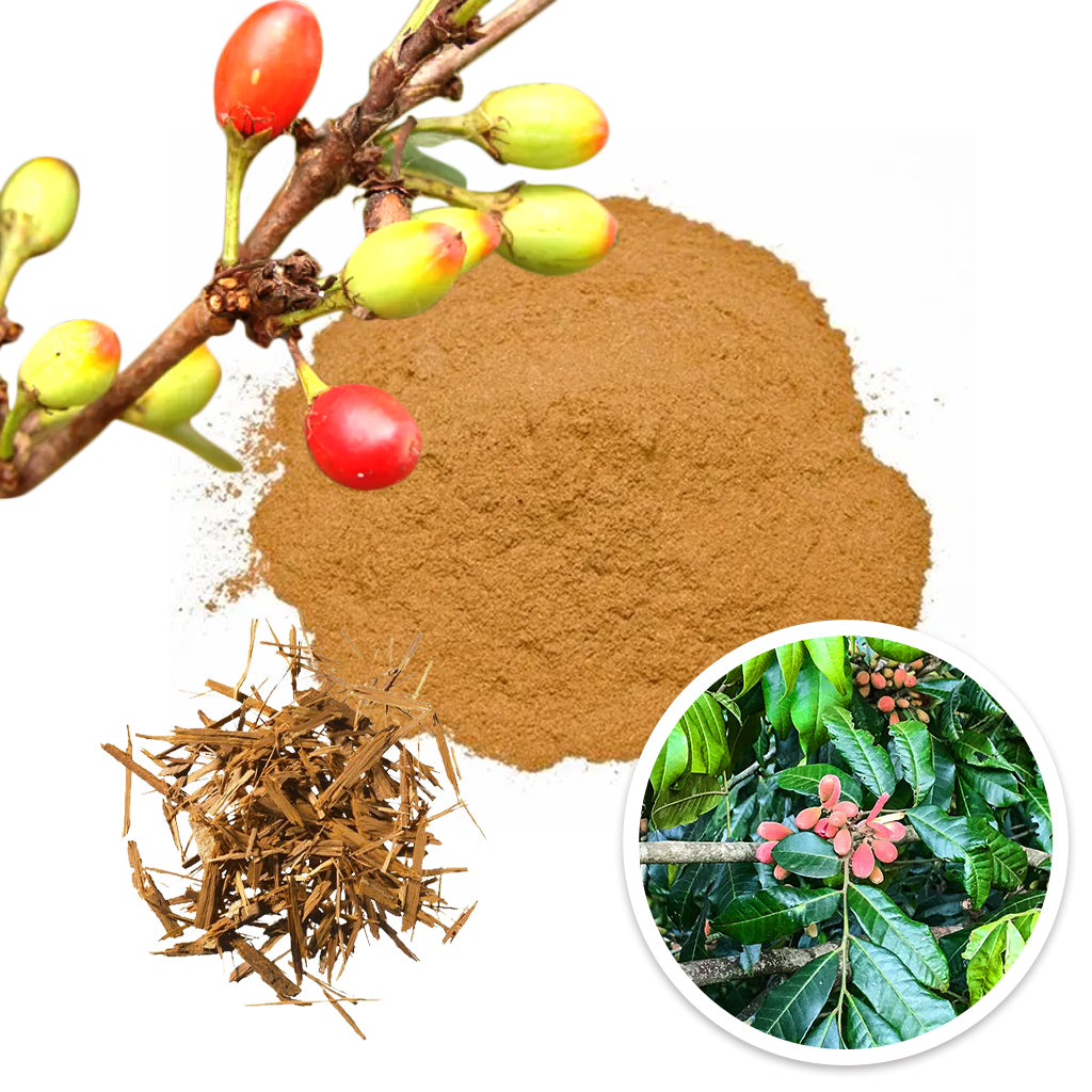 CatuaPure Catuaba Extracts and Sources