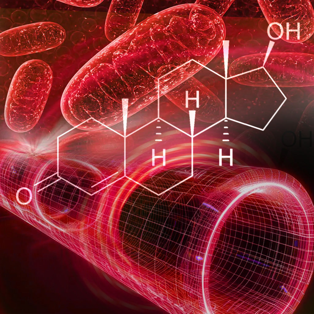 MyHixel Control Clinically Proven to Build Sexual Stamina