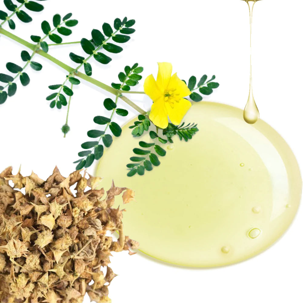 Control Delay Gel Contains Tribulus Terrestris