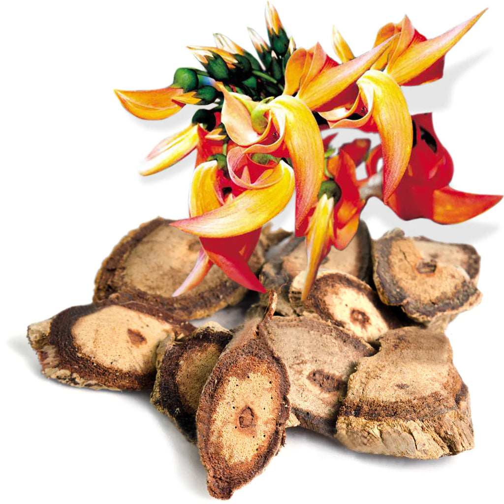 Max Out Jelqing Contains Butea Superba