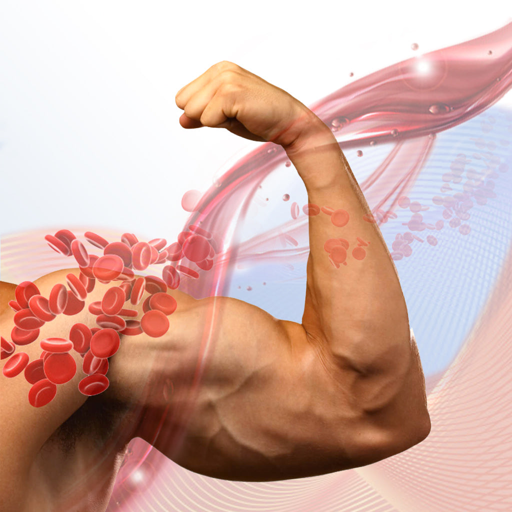 The Penis Size & Girth Program Increases Penis Size