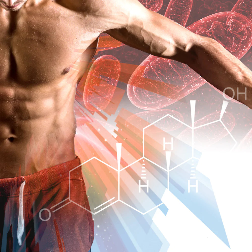 Testosterone Booster Program Naturally Boosts Testosterone