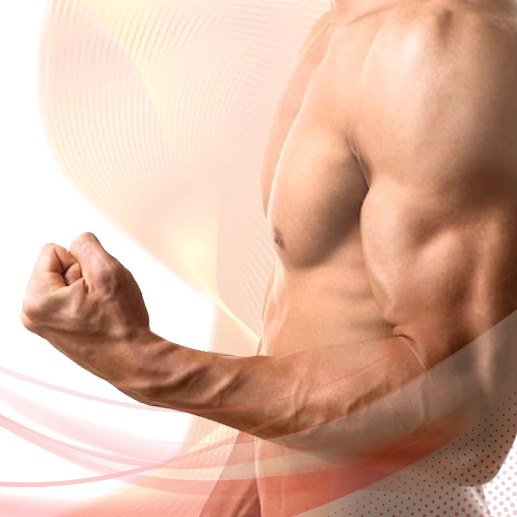 The Ultimate Penis Program Makes Increased Orgasmic Sensation And Ejaculatory Force