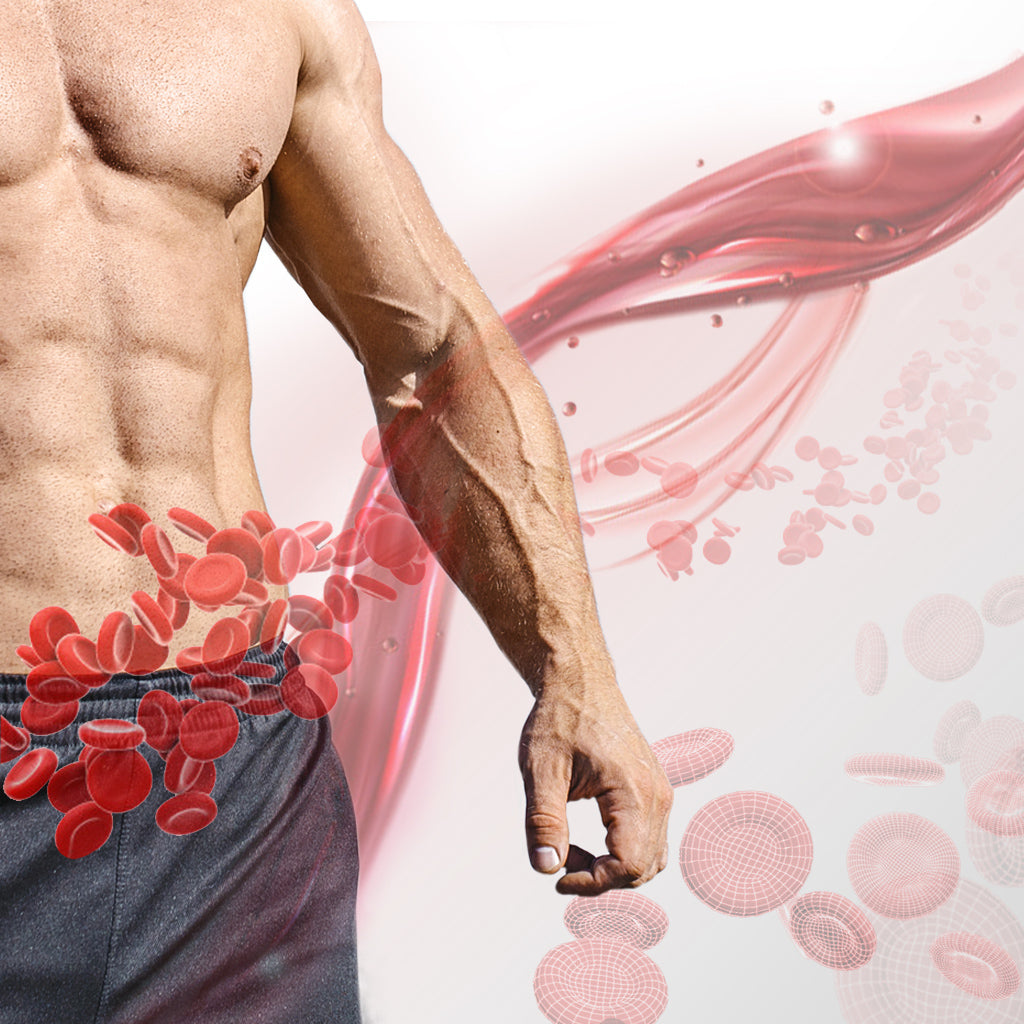 The Bathmate HydroXtreme Improves Blood Flow to the Penis