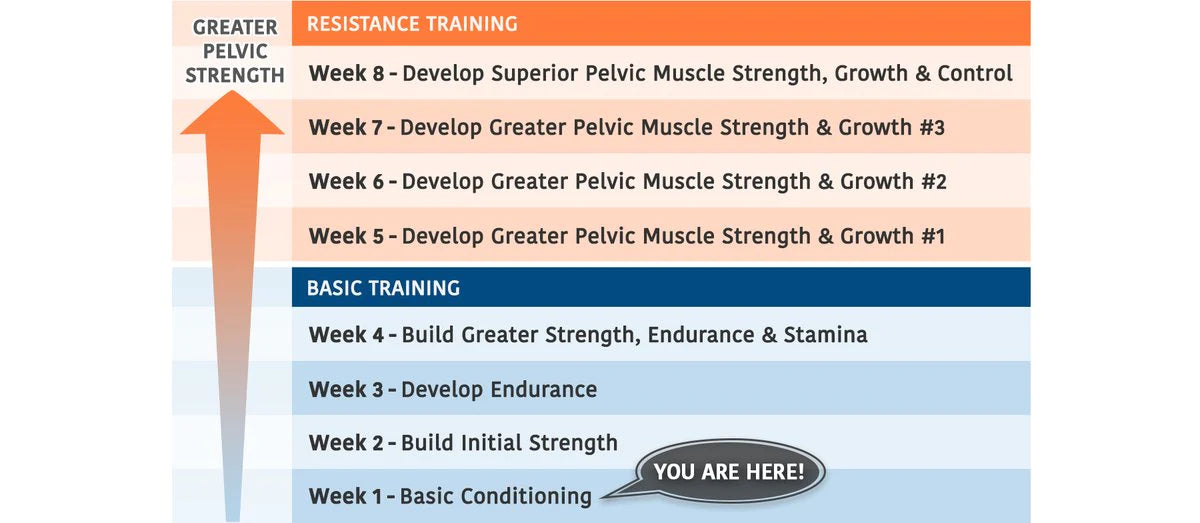 How Will My Pelvic Fitness Improve Each Week?