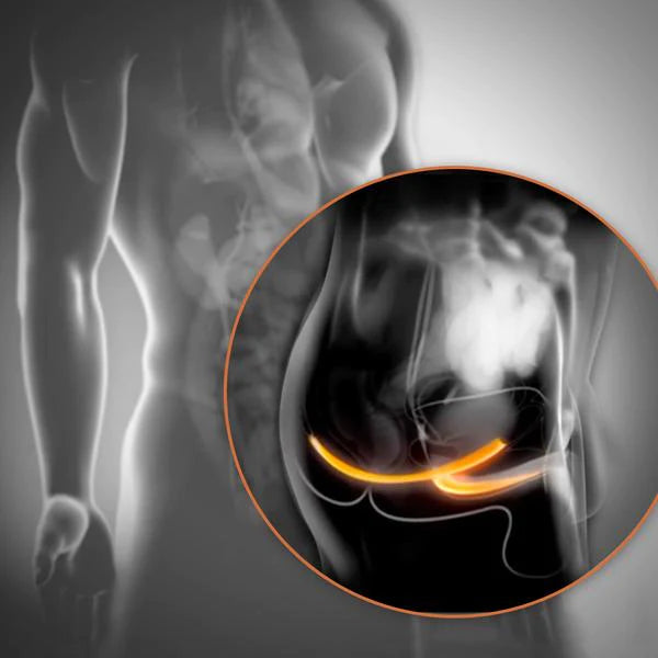 Private Gym Overview Male Pelvic Floor Muscles