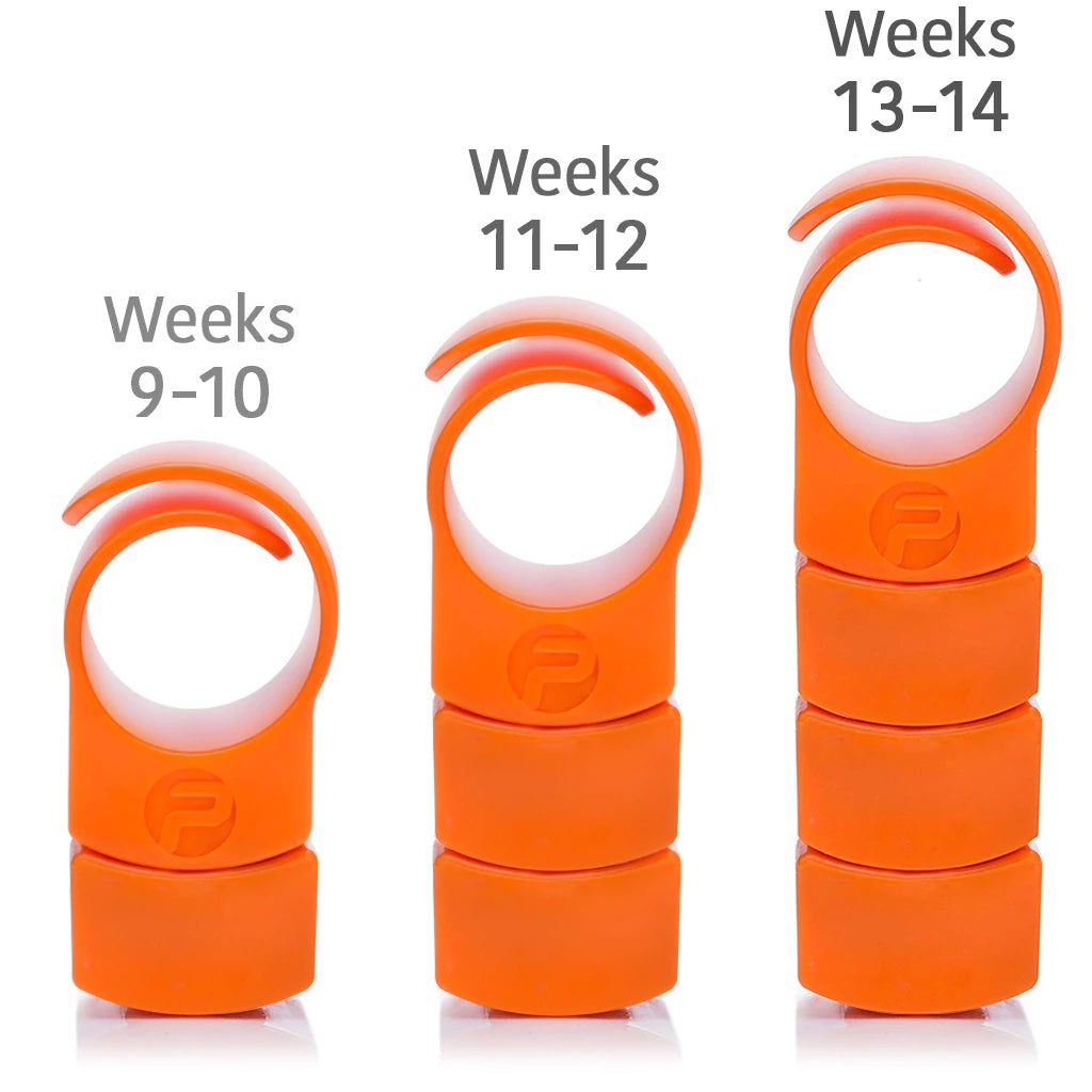 Private Gym Resistance Ring with 1, 2 & 3 extra weights